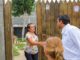 Entregan paquetes de apoyo a damnificados de Reynosa