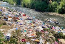 Abundan “ecolocos” en la ciudad exhortan a no contaminar la ciudad