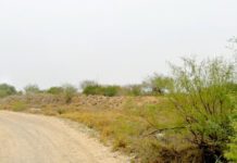 Colectivos hallan otra vez mas restos óseos de humano en Brecha El Berrendo