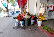 Evaluara ganancias comercio informal por día de las madres