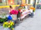 Floristas esperan un repunte en ventas en festejo del día de las madres