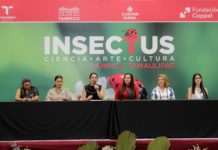 Presenta Mónica Villarreal a Insectus: Ciencia, Arte y Cultura en Tampico