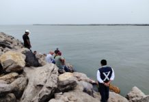 Encuentran caballo muerto en escolleras de Playa Miramar