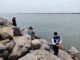 Encuentran caballo muerto en escolleras de Playa Miramar