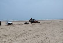 Denuncian ingreso de maquinaria pesada a zona de anidación de tortugas en playa Miramar