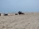 Denuncian ingreso de maquinaria pesada a zona de anidación de tortugas en playa Miramar