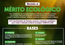 Lanzan Convocatoria para Premio Municipal al Mérito Ecológico