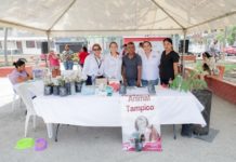 Fomenta el Gobierno de Tampico el cuidado del medio ambiente y el bienestar animal