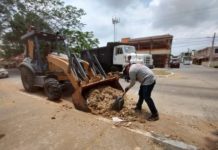 Gobierno de Tampico continúa con programa Integral de Limpieza y combate al Dengue