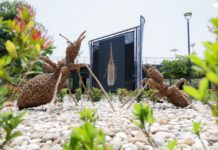 Inaugura Mónica Villarreal la exposición Insectus. Ciencia. Arte y Cultura