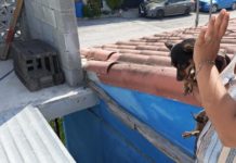 Exhorta Alcalde de Reynosa al buen cuidado de las mascotas