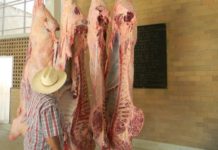 Capacitan a personal del rastro y a ganadero contra el barrenador