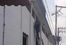 Colocan luminarias en el exterior del Mercado del Norte