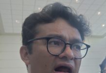 A partir del grano de sorgo se producirá bioturbosina en Tamaulipas: SENER