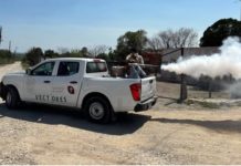 A la alza casos de dengue en Tamaulipas llevan 273 casos