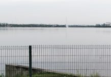 Proyecta la instalación de una valla electrosoldada