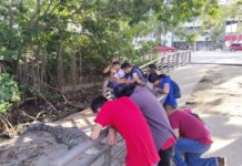 Respetar avisos de precaución en la laguna del Carpintero pide S.O.S cocodrilo