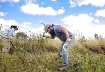 Realizan Segunda Jornada de Reforestación Comunitaria