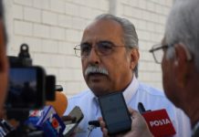 Impulsan cultivo de sorgo blanco como alternativa rentable y sustentable para el campo