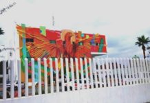 Arrestan a sujeto en el temible “Barrio del Centralito”