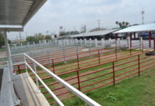 Rastro municipal hace campaña y se une al programa ‘Consume Local’