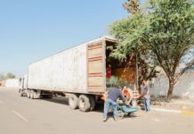 Más de 8 mil arbolitos llegaron a Camargo