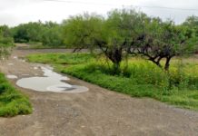 Hallan más hallazgos de personas presuntamente desaparecidas