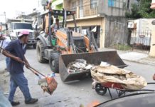 El Gobierno Municipal de Tampico Refuerza Acciones Preventivas contra el Dengue