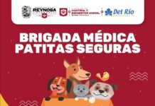 Asiste a la Brigada Patitas Seguras en Del Río plaza comercial