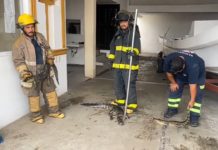 Capturan a tres cocodrilos en zonas urbanas de Ciudad Madero