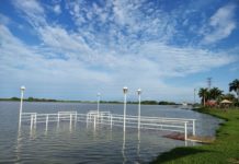 Ante aumento de la laguna del Chairel temen salgan cocodrilos de su hábitat e invadan parques