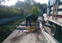 Sanea Gobierno de Reynosa dren y calichera en Balcones de Alcalá