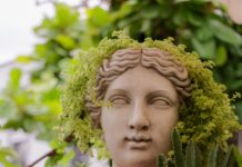 Tampico celebra el Día Mundial del Árbol con actividades de concientización y reforestación