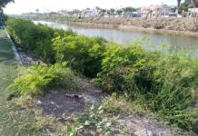 Limpia Servicios Públicos canal Anzaldúas para evitar fauna nociva