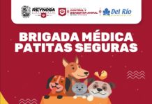 Ofrecerá Gobierno de Reynosa servicios veterinarios gratuitos