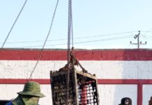 Realizó COMAPA limpieza de canastillas en EBAR’s No. 3 y 14