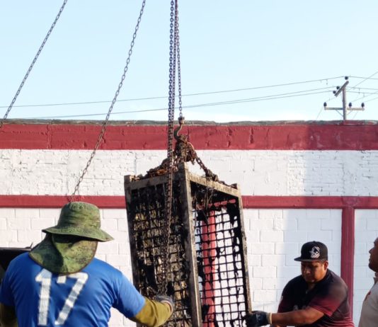 Realizó COMAPA limpieza de canastillas en EBAR’s No. 3 y 14