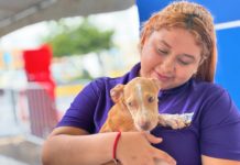 Mejoran vida de gatitos y perritos en Reynosa con 16 adopciones