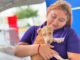 Mejoran vida de gatitos y perritos en Reynosa con 16 adopciones