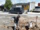 Atiende COMAPA fugas de agua potable en el Fraccionamiento San Valentín