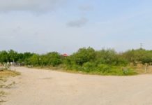 Otra vez Colectivos hallan restos óseos que se presume sean de humano