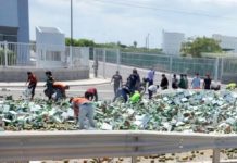 Rateros aprovechan volcadura de trailer para llevarse mangos