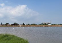 Pemex comprometido con el uso eficiente y responsable del agua en sus actividades