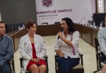 Aclaran asunto de la obra de CFE en la Carmen Romano