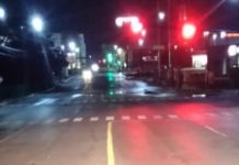 Captan a cocodrilo paseando en plena Avenida de Ejército Mexicano en Tampico