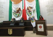 Presenta Diputada iniciativa para fortalecer respeto a los derechos de autor