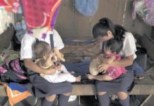 Nacen cada año en el hospital civil 20 bebés con anencefalia y espina bífida