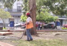 Para evitar golpes de calor toman medidas con los trabajadores municipales que laboran a la intemperie