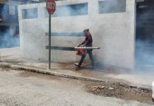 Tampico y Madero concentran el 70% de los casos de dengue