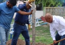 Celebraron Día Mundial del Medio Ambiente